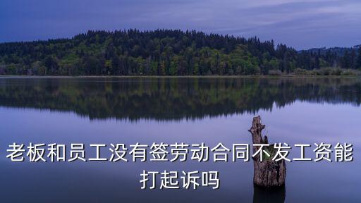 不簽合同不發(fā)工資可以勞動(dòng)仲裁嗎，沒簽合同公司拖欠工資可以申請(qǐng)勞動(dòng)仲裁嗎