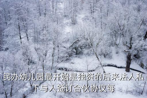 民辦幼兒園最開始是獨資的后來法人私下與人簽訂合伙協(xié)議每