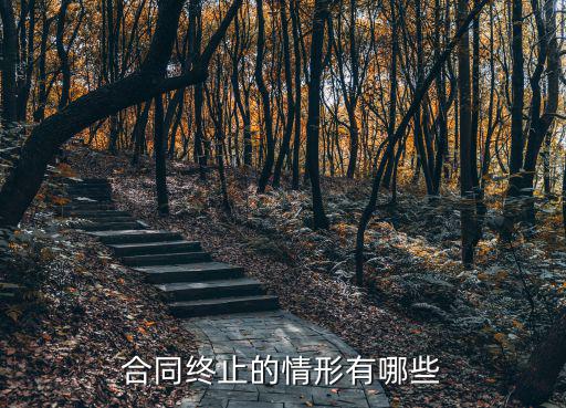 合同終止的幾種情況，合同違約終止情形有哪些
