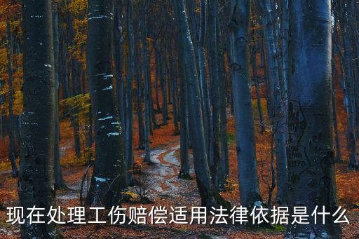 現(xiàn)在處理工傷賠償適用法律依據(jù)是什么