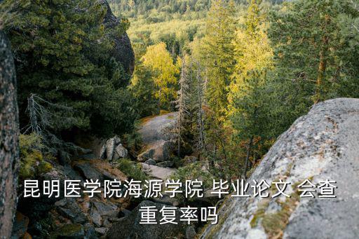 昆明醫(yī)學(xué)院海源學(xué)院 畢業(yè)論文 會查重復(fù)率嗎