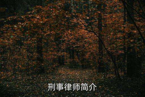 刑事律師簡介