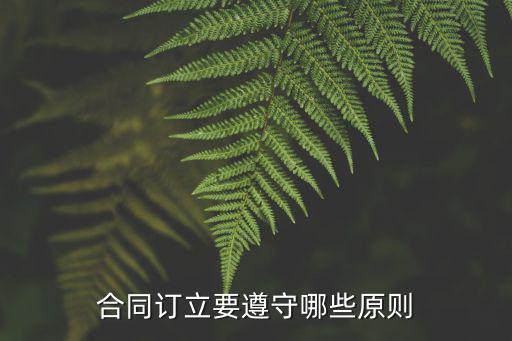 合同訂立要遵守哪些原則