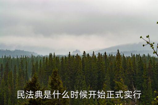 2022民法典，我國有民法典嗎