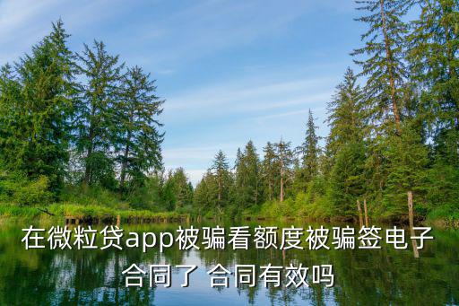 微粒貸被騙簽了電子合同怎么辦，在微粒貸app被騙看額度被騙簽電子合同了 合同有效嗎