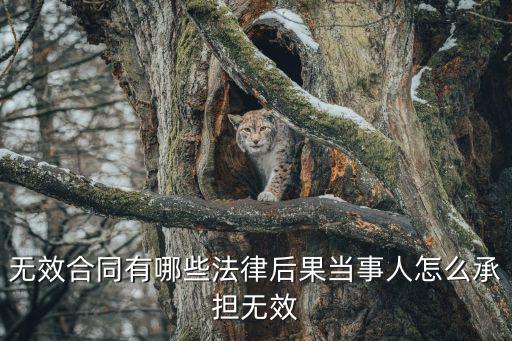 合同法56條全文規(guī)定，合同法全文