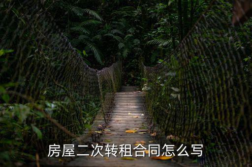 房屋二次轉(zhuǎn)租合同模板，租房合同第二次紀(jì)租合同怎么寫