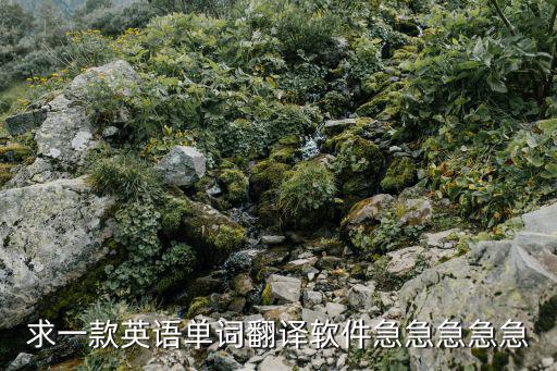 求一款英語單詞翻譯軟件急急急急急