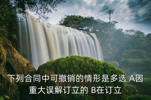 下列合同中可撤銷的情形是多選 A因重大誤解訂立的 B在訂立