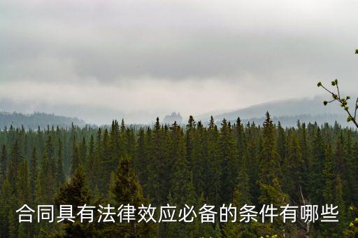 合同具有法律效應(yīng)必備的條件有哪些