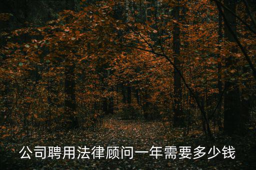公司聘用法律顧問(wèn)一年需要多少錢(qián)