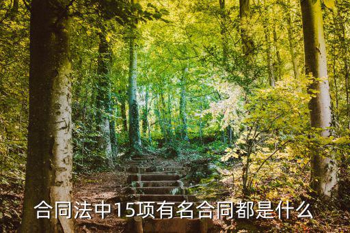 合同法中15項(xiàng)有名合同都是什么