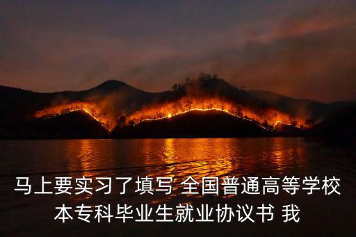 馬上要實(shí)習(xí)了填寫(xiě) 全國(guó)普通高等學(xué)校本專(zhuān)科畢業(yè)生就業(yè)協(xié)議書(shū) 我