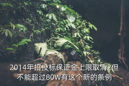 2014年招投標(biāo)保證金上限取消2但不能超過(guò)80W有這個(gè)新的條例