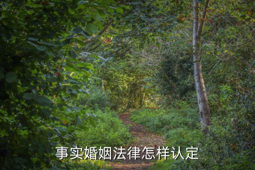 新婚姻法對(duì)事實(shí)婚姻的認(rèn)定，新婚姻法是否承認(rèn)事實(shí)婚姻