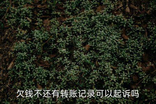 欠錢不還有轉(zhuǎn)賬記錄可以起訴嗎