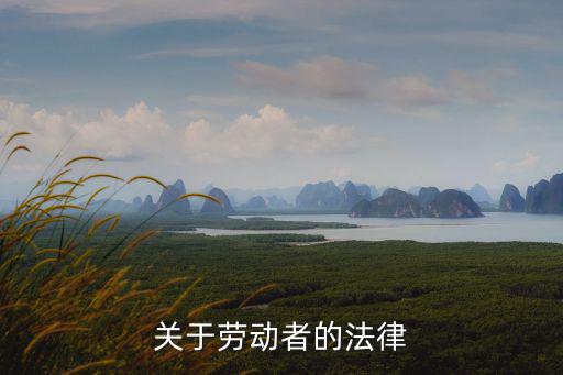 關(guān)于勞動(dòng)者的法律