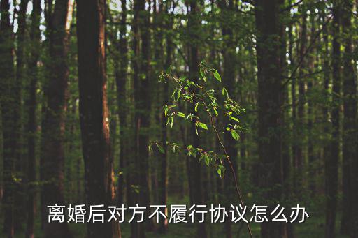 離婚協(xié)議后對方不履行協(xié)議，雙方簽訂離婚協(xié)議書辦理離婚之后若對方不履行離婚協(xié)議書內(nèi)容怎