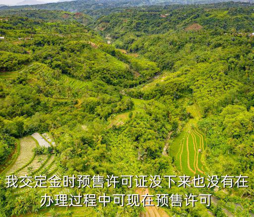 預(yù)售證沒下來的房子交了定金，我交定金時(shí)預(yù)售許可證沒下來也沒有在辦理過程中可現(xiàn)在預(yù)售許可