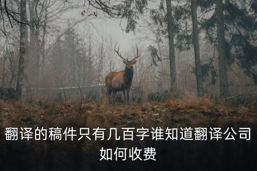 翻譯資料如何收費(fèi)，翻譯的稿件只有幾百字誰(shuí)知道翻譯公司如何收費(fèi)