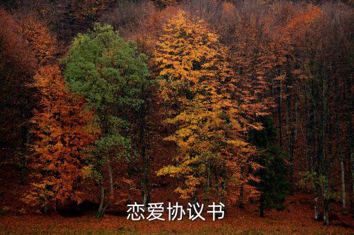 情侶簽訂戀愛協(xié)議書，情侶間的甜蜜愛情契約怎么寫