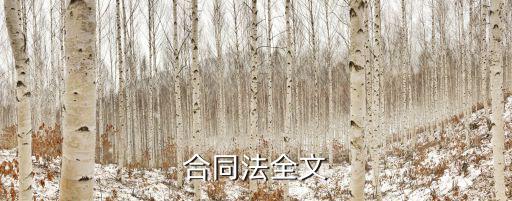 合同法全文