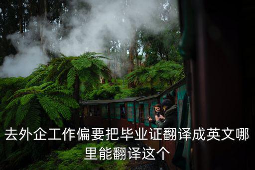 去外企工作偏要把畢業(yè)證翻譯成英文哪里能翻譯這個