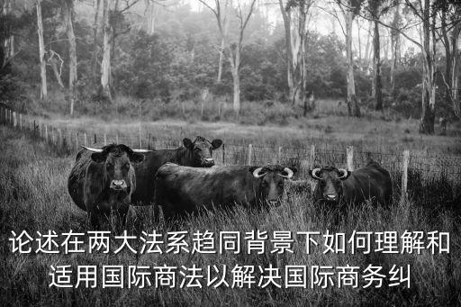 論述在兩大法系趨同背景下如何理解和適用國際商法以解決國際商務糾