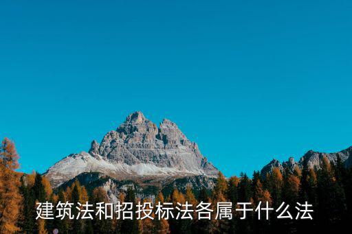 合同法和招投標(biāo)法哪個(gè)大，采購的相關(guān)規(guī)定