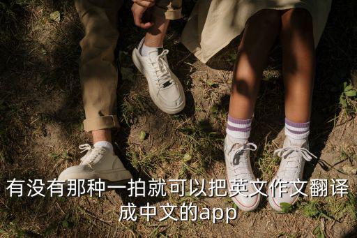 翻譯英語作業(yè)的軟件，有沒有那種一拍就可以把英文作文翻譯成中文的app