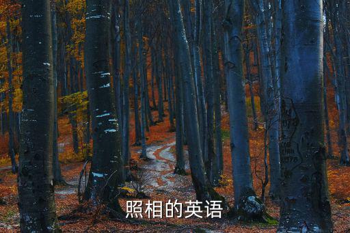 翻譯拍照，照相的英語