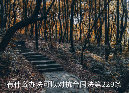 合同法229條民法典，合同相對性 問題