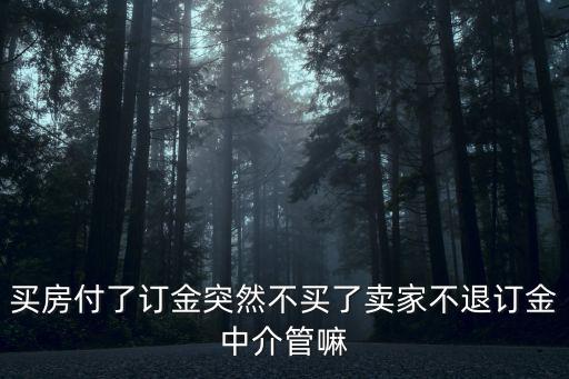 房子不想賣了但買方付定金了中介，買房付了訂金突然不買了賣家不退訂金中介管嘛