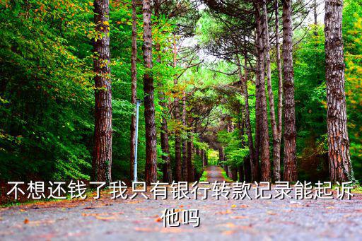 欠錢不還只有轉(zhuǎn)賬記錄可以起訴嗎，如果朋友借錢不還只有轉(zhuǎn)賬記錄可以起訴嗎