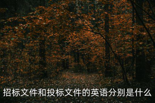 投標文件英文版，哪位大俠有英文投標書的范本啊急求謝了