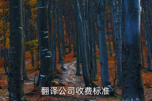 翻譯公司收費(fèi)標(biāo)準(zhǔn)