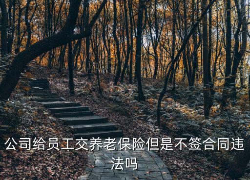 公司給員工交養(yǎng)老保險但是不簽合同違法嗎
