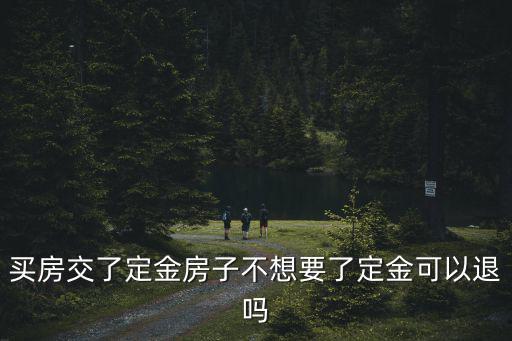 買房交了定金房子不想要了定金可以退嗎