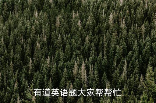 有道英語，有道英語需要解答