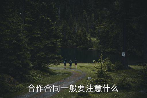 合作合同一般要注意什么