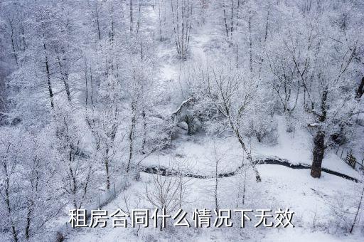 租賃合同無效的情況，租賃合同無效情形有哪些