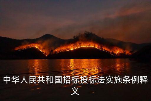 中華人民招標投標法，我國招投標法規(guī)定了哪幾種招標方式