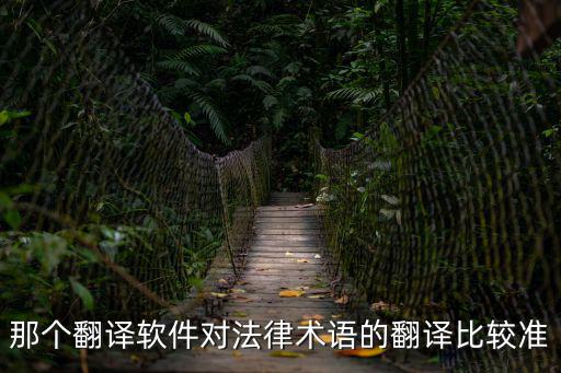 法律英語(yǔ)翻譯app哪個(gè)好，那個(gè)翻譯軟件對(duì)法律術(shù)語(yǔ)的翻譯比較準(zhǔn)