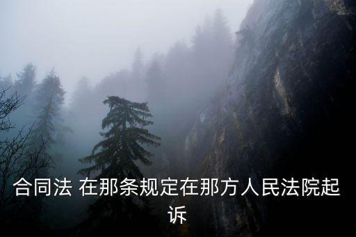 合同法規(guī)定起訴地以那邊為準(zhǔn)，合同糾紛案件應(yīng)在何地起訴