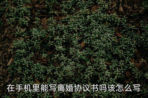在手機(jī)里能寫(xiě)離婚協(xié)議書(shū)嗎該怎么寫(xiě)