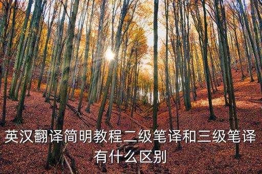 英漢翻譯簡(jiǎn)明教程二級(jí)筆譯和三級(jí)筆譯有什么區(qū)別