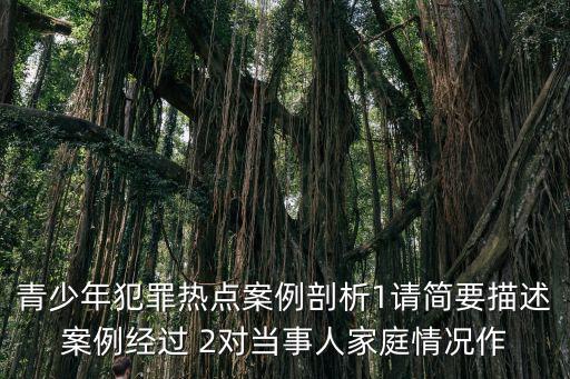 青少年犯罪熱點(diǎn)案例剖析1請簡要描述案例經(jīng)過 2對當(dāng)事人家庭情況作