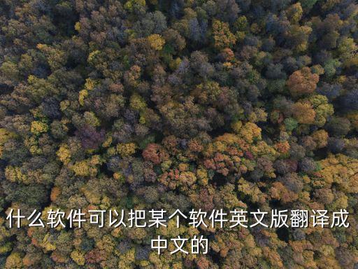 什么軟件可以把某個軟件英文版翻譯成中文的