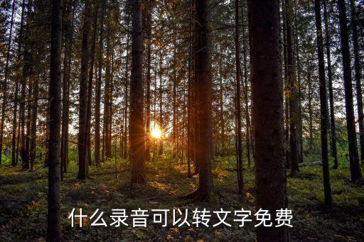 什么錄音可以轉(zhuǎn)文字免費(fèi)