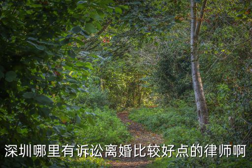 深圳哪里有訴訟離婚比較好點的律師啊